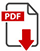 PDF herunterladen